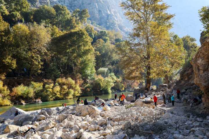 پژوهش، موتور محرک تحول گردشگری ایران