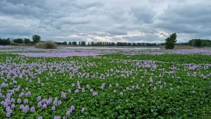 جایی برای فرود نیست