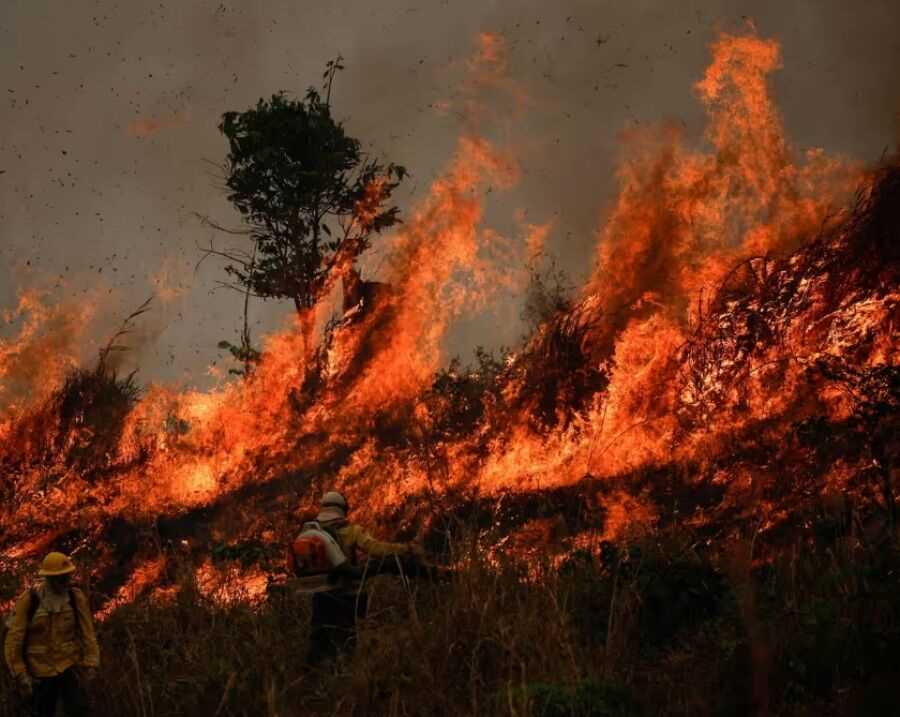 آتش دوباره در جنگل‌های مرزن‌آباد چالوس شعله‌ور شد
